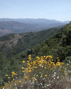 looking down into Santa Ynez Valley from atop San Marcos Pass, Santa Barbara County, California